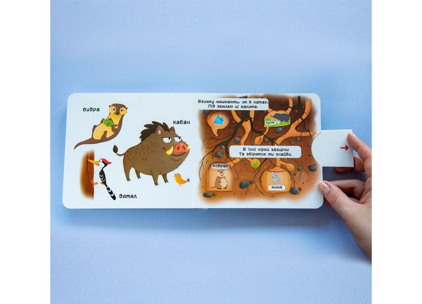Книжка дитяча з механізмом. Перша книжка з рухомими елементами. Лісові тварини, Crystal Book фото